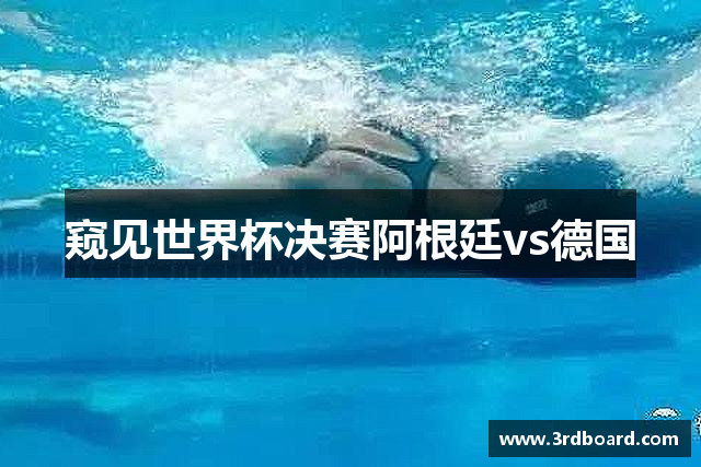 窥见世界杯决赛阿根廷vs德国